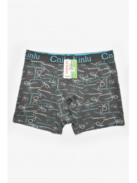 Боксеры мужские тёмно-серого цвета с принтом Z054D 211581C Боксеры мужские тёмно-серого цвета с принтом Z054D 211581C