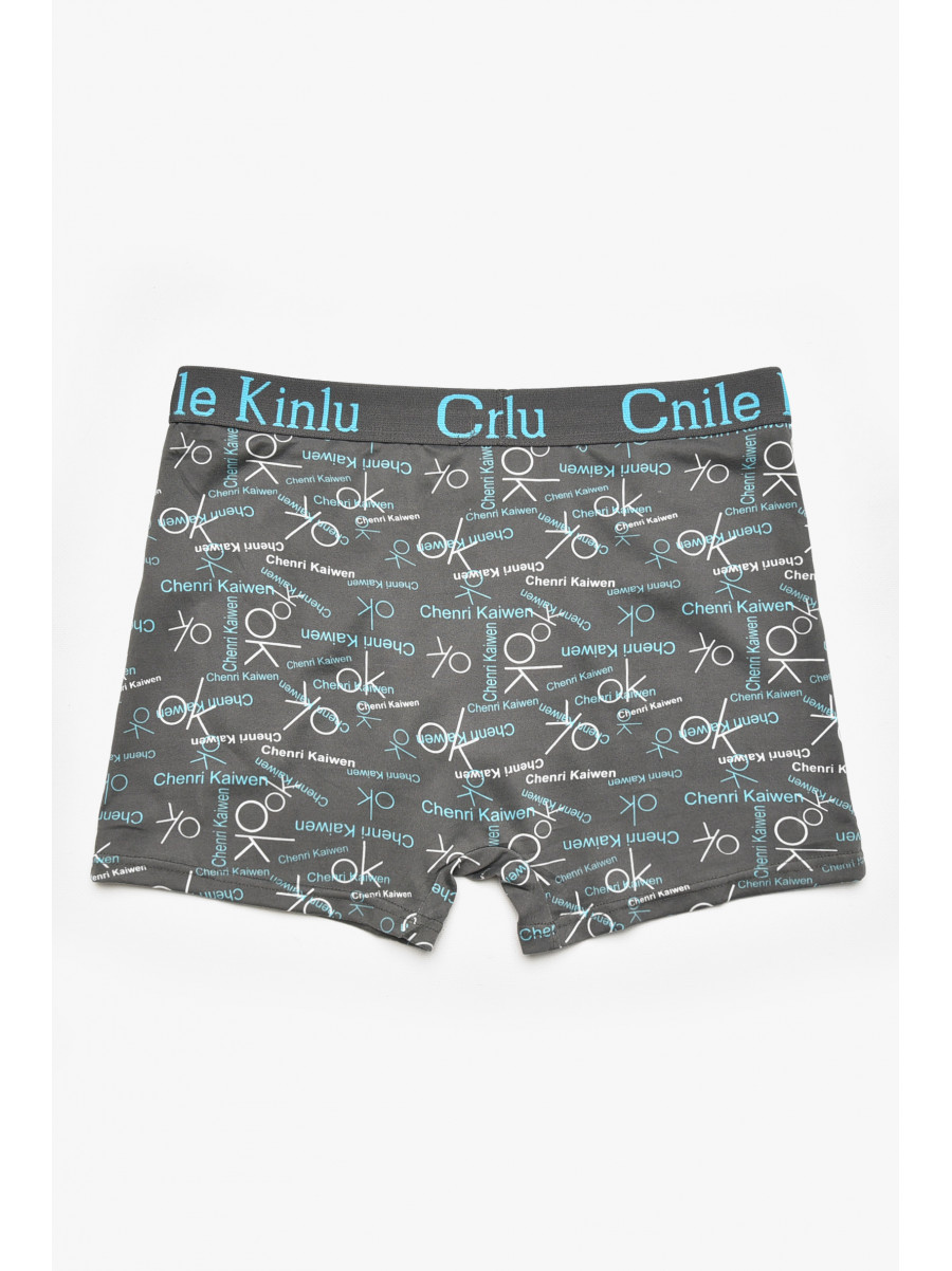 Боксеры мужские тёмно-серого цвета с принтом Z054D 211581C