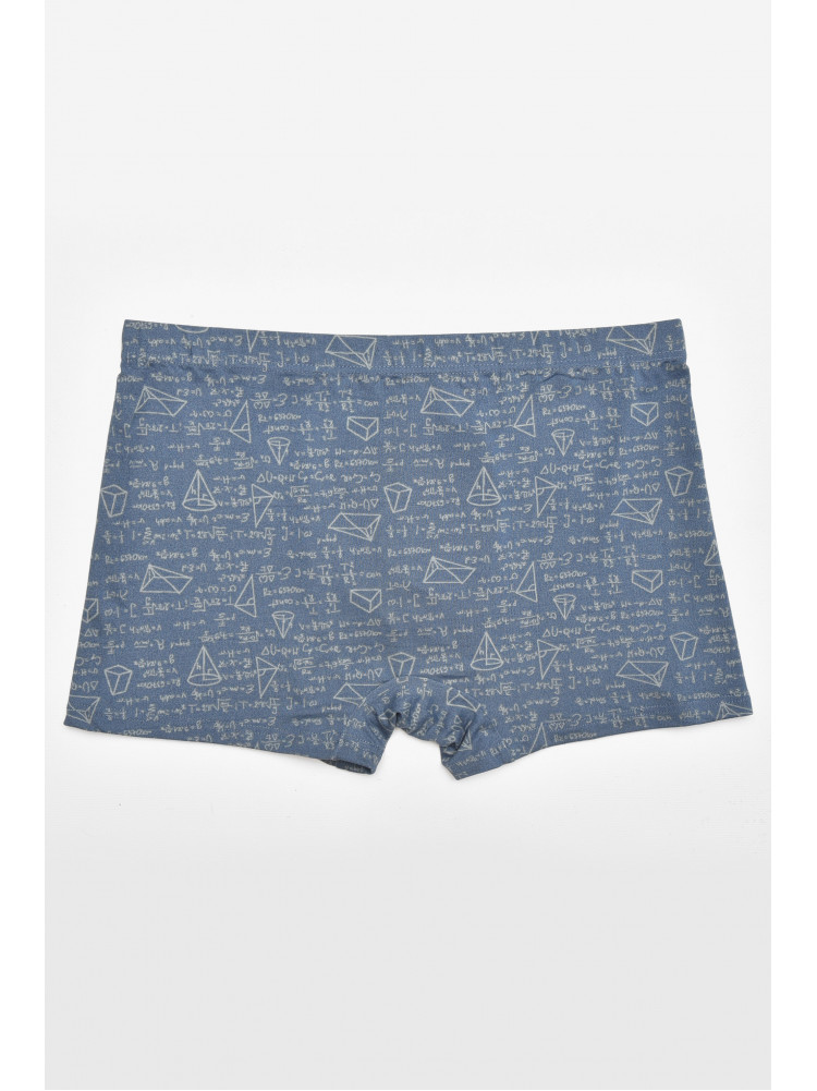 Боксеры мужские синего цвета с принтом W3883 211609C