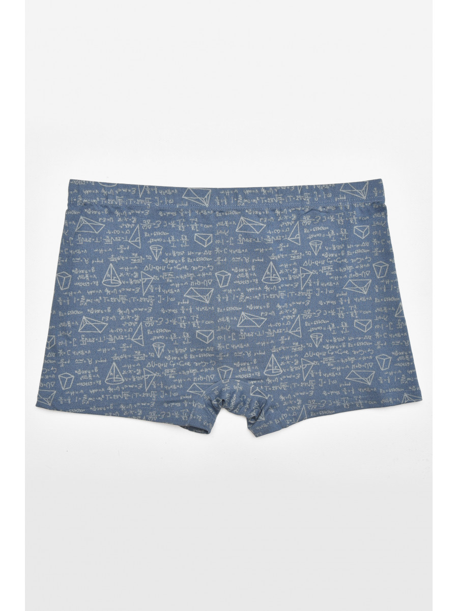 Боксеры мужские синего цвета с принтом W3883 211609C