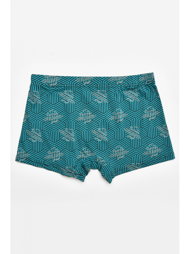 Боксеры мужские зеленого цвета с принтом 211649C