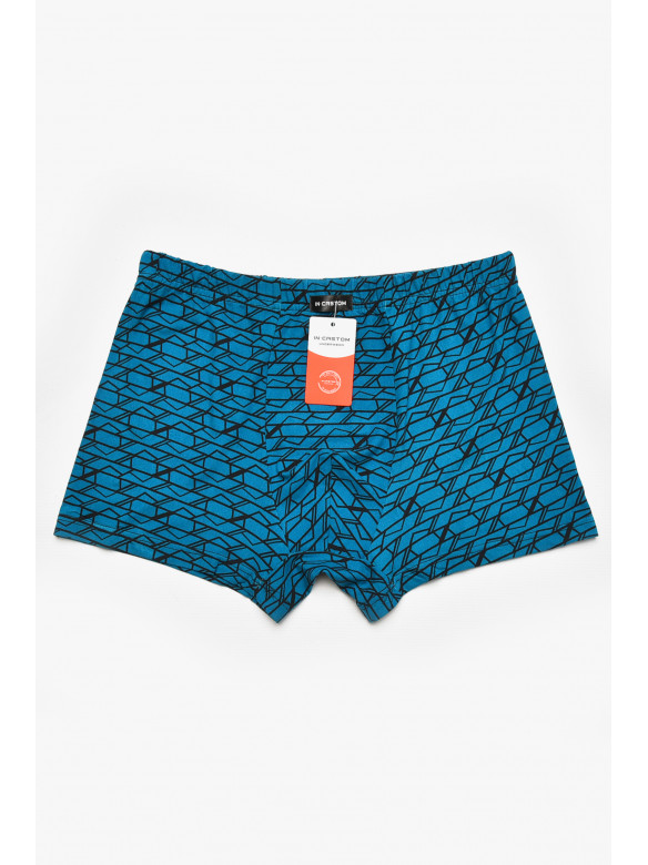 Боксеры мужские зелёного цвета с принтом 211659C