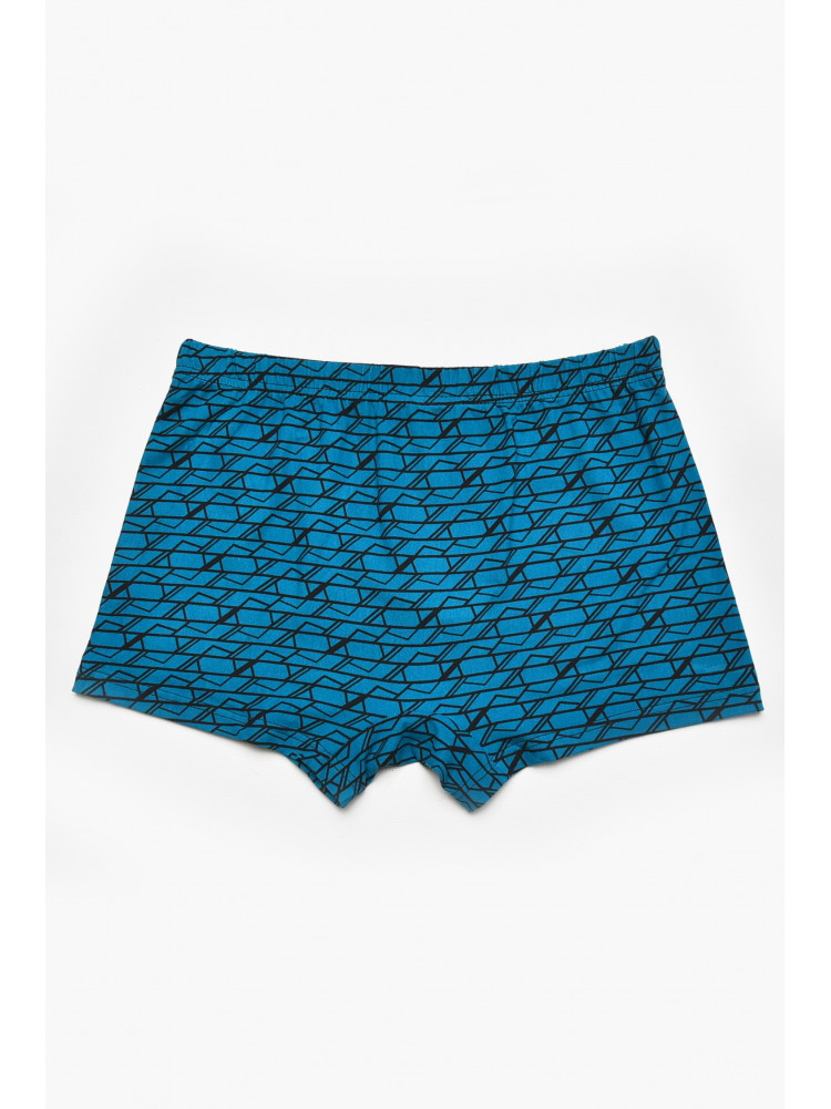 Боксеры мужские зелёного цвета с принтом 211659C