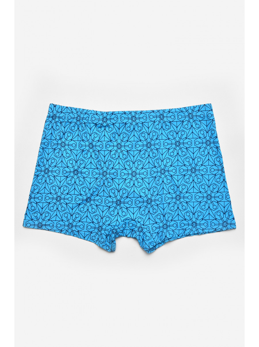 Боксеры мужские голубого цвета с принтом 211670C