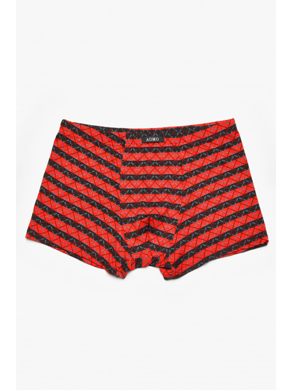 Боксеры мужские черного цвета с принтом 211677C