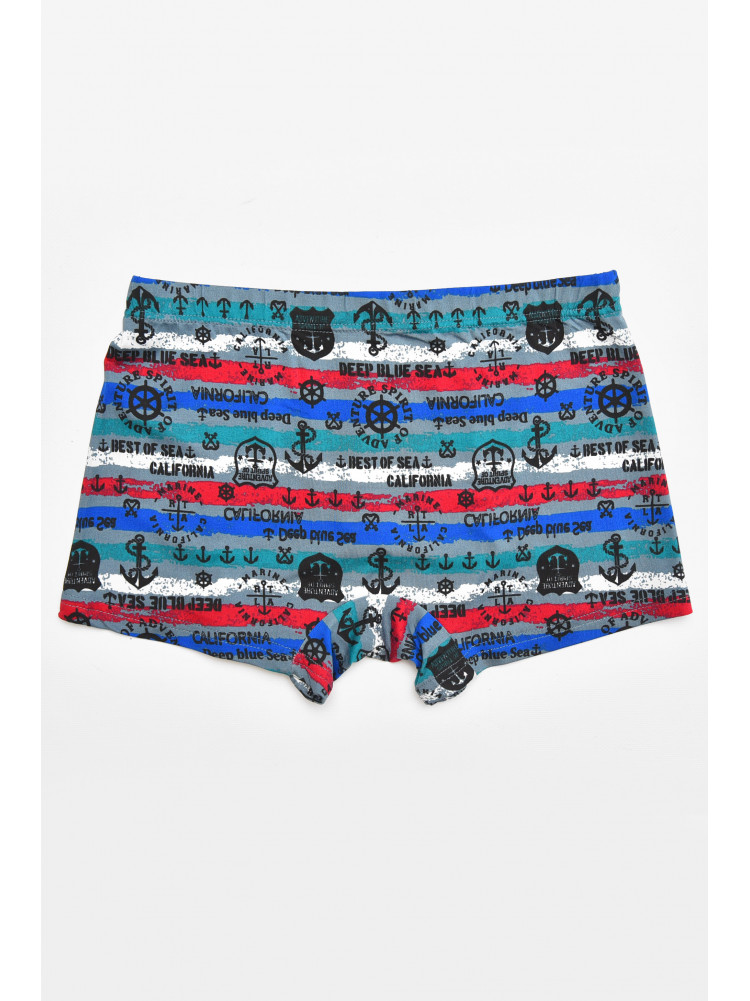 Боксеры мужские серого цвета с принтом 211708C