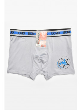 Боксеры мужские светло-серого цвета с принтом F0895 211772C Боксеры мужские светло-серого цвета с принтом F0895 211772C