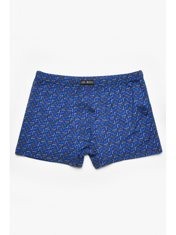 Боксеры детские для мальчика тёмно-синего цвета с принтом Y6354 211893C