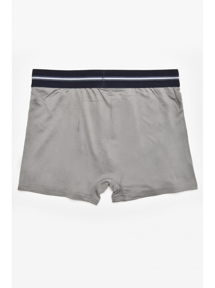 Боксери чоловічі темно-сірого кольору з принтом Z047 211915C