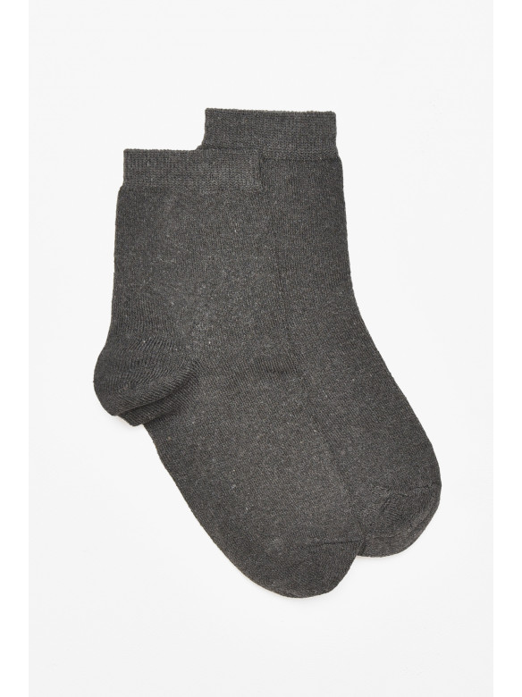 Шкарпетки чоловічі демісезонні темно-сірого кольору 212014C