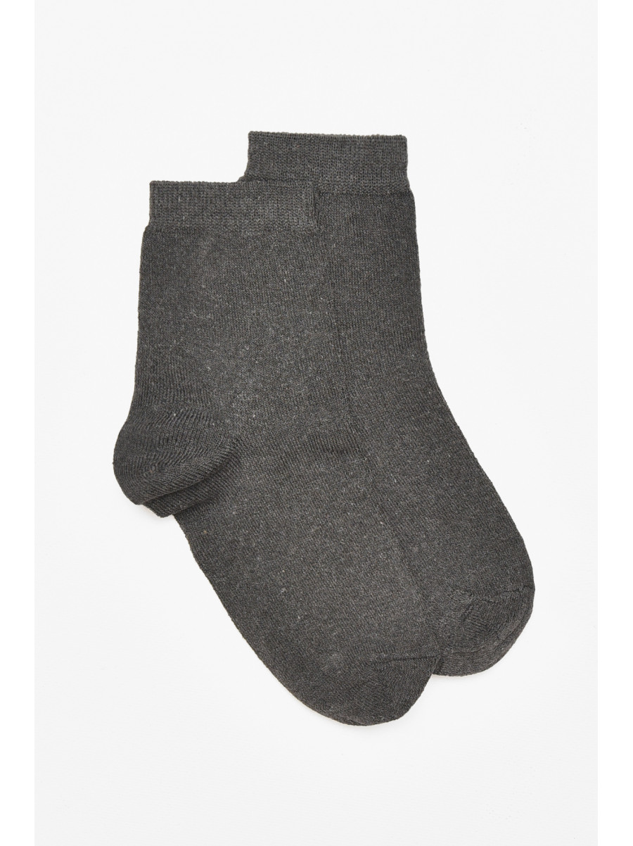 Шкарпетки чоловічі демісезонні темно-сірого кольору 212014C