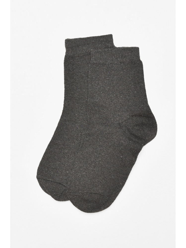 Шкарпетки чоловічі демісезонні темно-сірого кольору 212014C