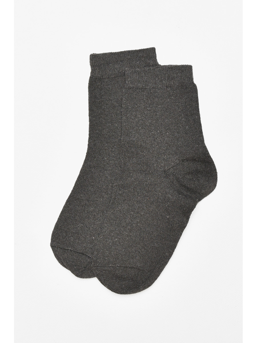 Шкарпетки чоловічі демісезонні темно-сірого кольору 212014C
