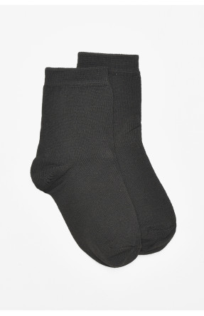 Шкарпетки чоловічі демісезонні чорного кольору 212015C