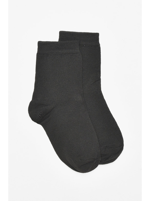 Шкарпетки чоловічі демісезонні чорного кольору 212015C