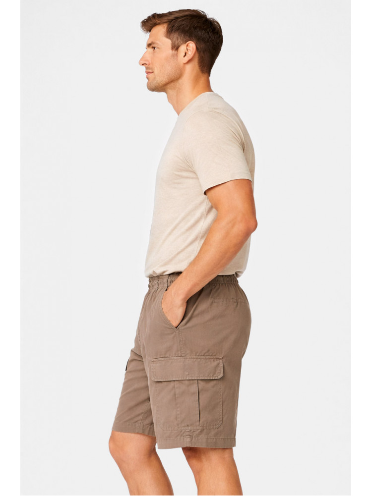 Шорти чоловічі однотонні бежевого кольору 2101 212042C