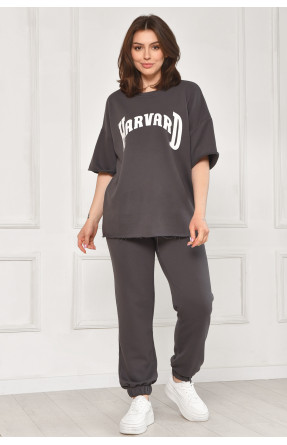 Спортивный костюм женский однотонный тёмно-серого цвета 2306 212075C