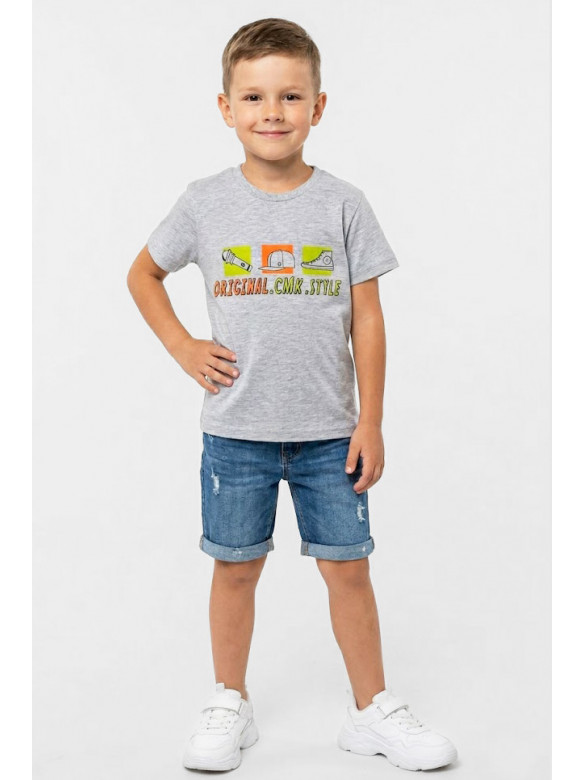 Футболка детская для мальчика серого цвета с принтом 212209C