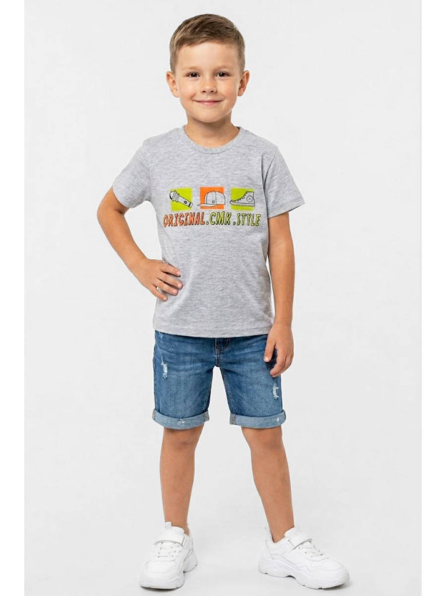 Футболка детская для мальчика серого цвета с принтом 212209C