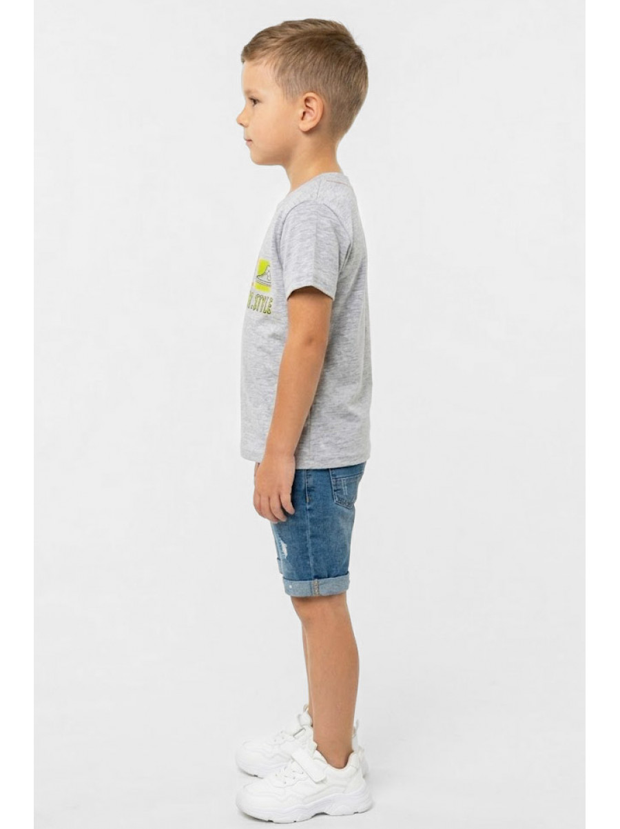 Футболка детская для мальчика серого цвета с принтом 212209C