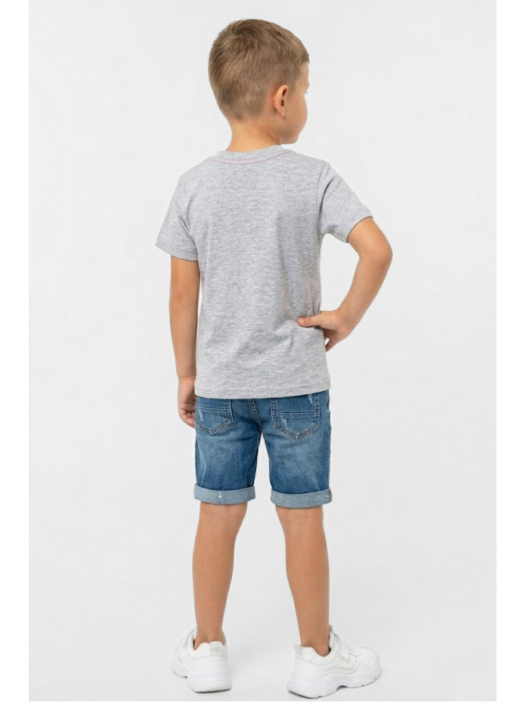 Футболка детская для мальчика серого цвета с принтом 212209C