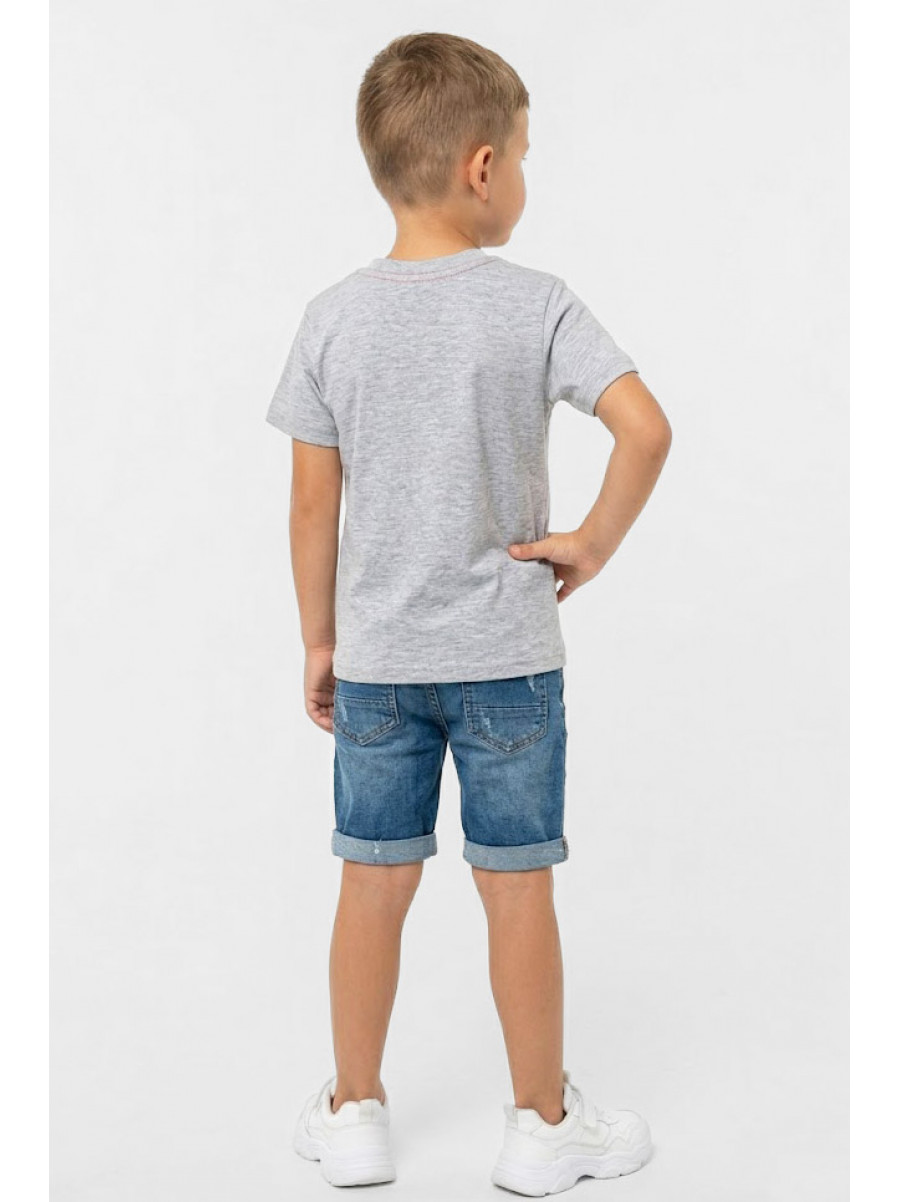 Футболка детская для мальчика серого цвета с принтом 212209C