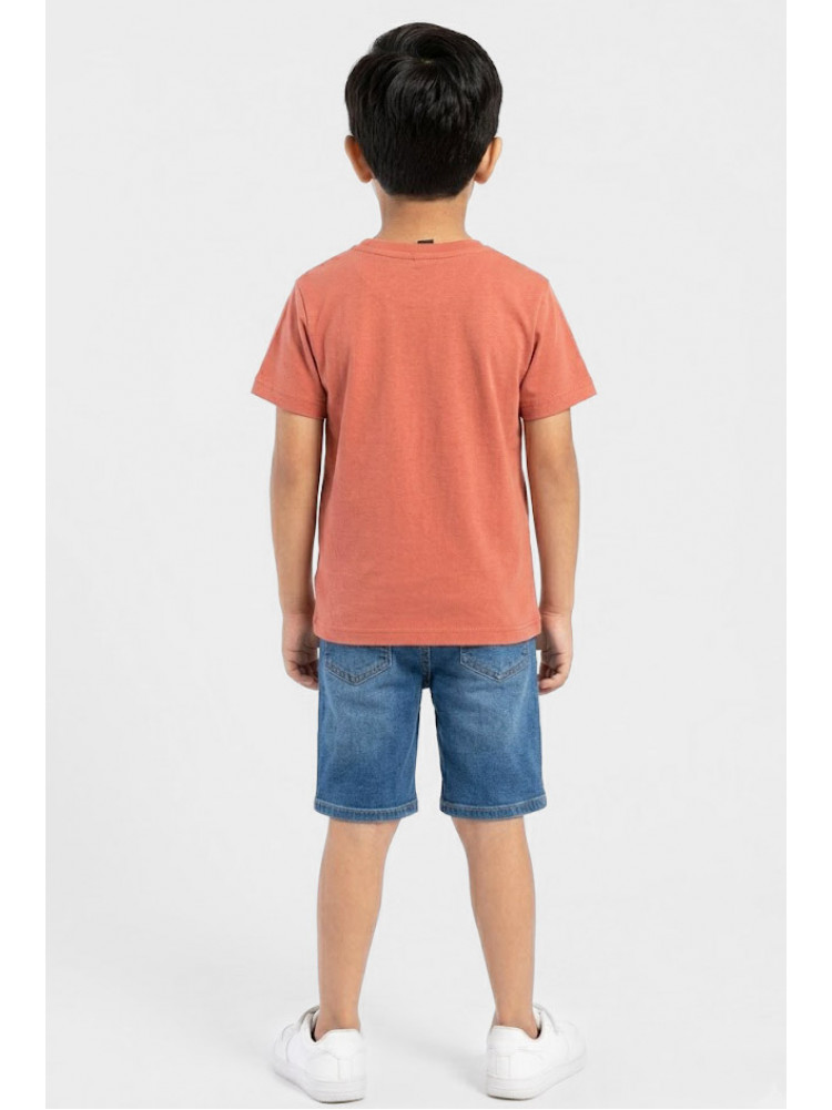 Футболка дитяча для хлопчика теракотового кольору з принтом 212216C