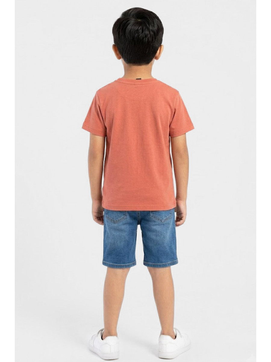 Футболка дитяча для хлопчика теракотового кольору з принтом 212216C