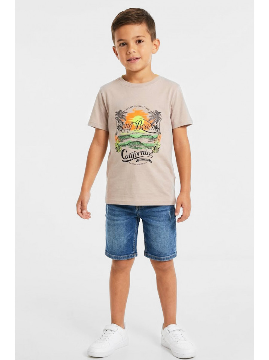 Футболка детская для мальчика бежевого цвета с принтом 212224C