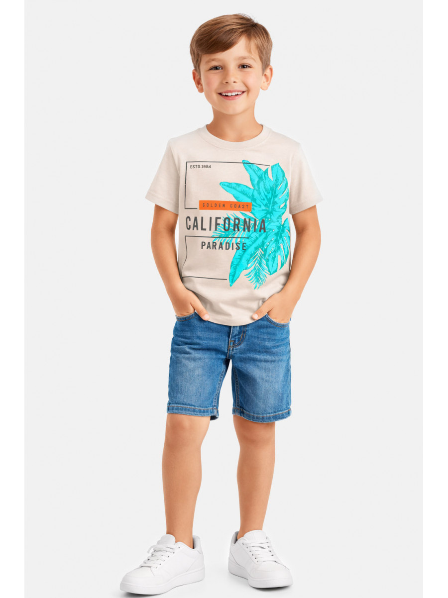 Футболка детская для мальчика бежевого цвета с принтом 212229C