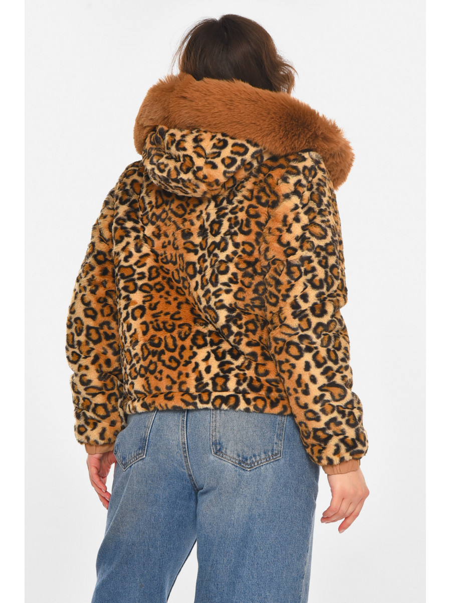 Шубка женская демисезонная коричневого цвета с принтом 11768 212385C