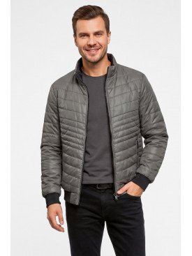 Куртка мужская демисезонная серого цвета S711 212390C