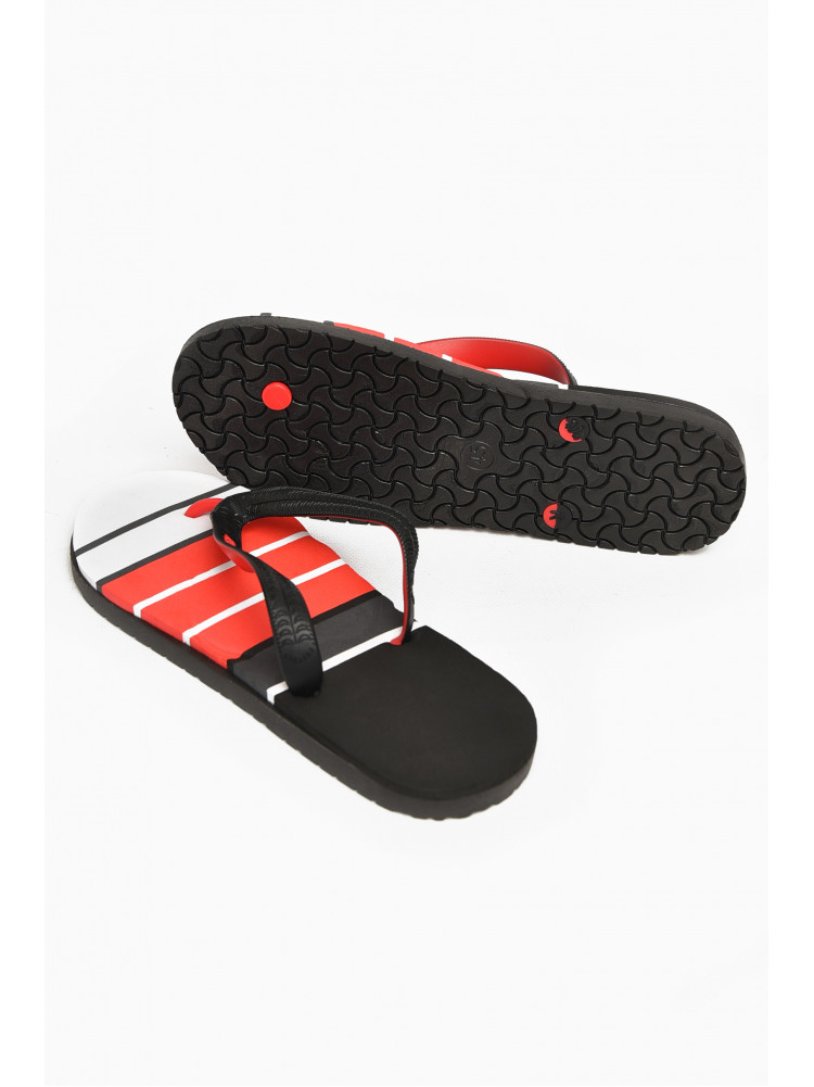 Вьетнамки мужские разноцветные в полоску 2002 212847C