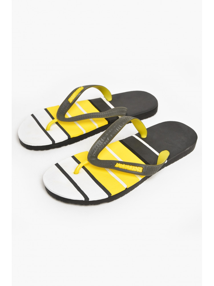 Вьетнамки мужские разноцветные в полоску 2002 212853C