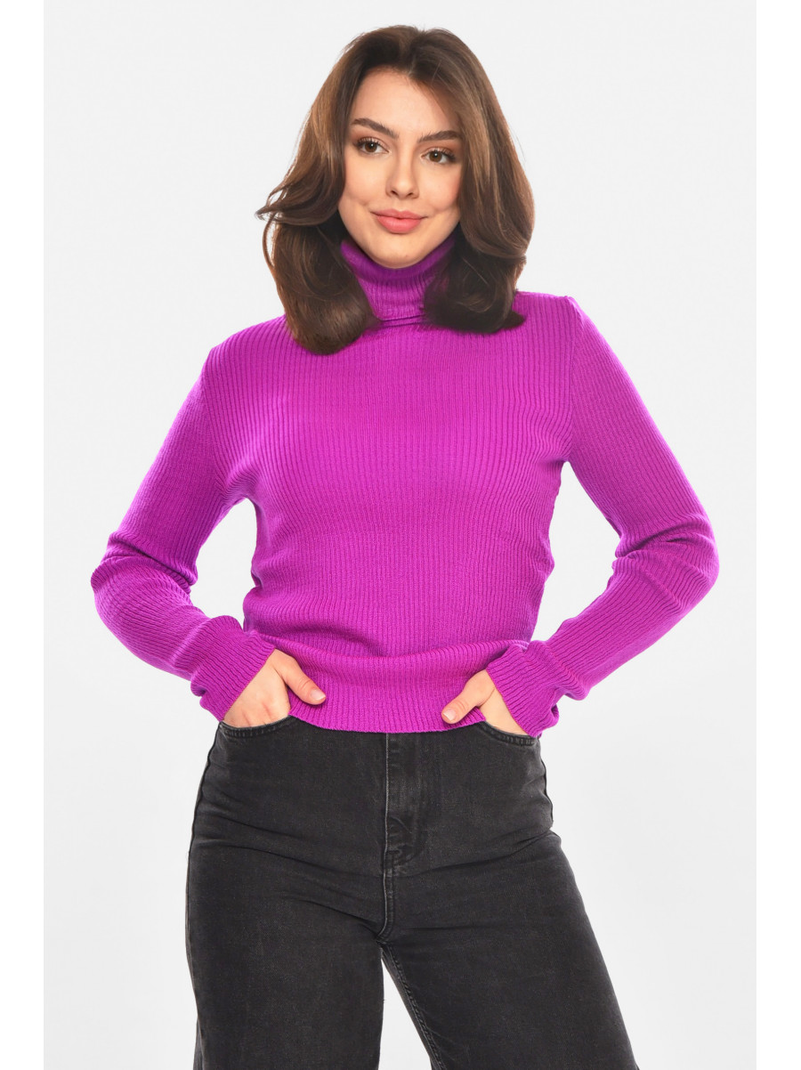 Гольф женский однотонный фиолетового цвета 212857C