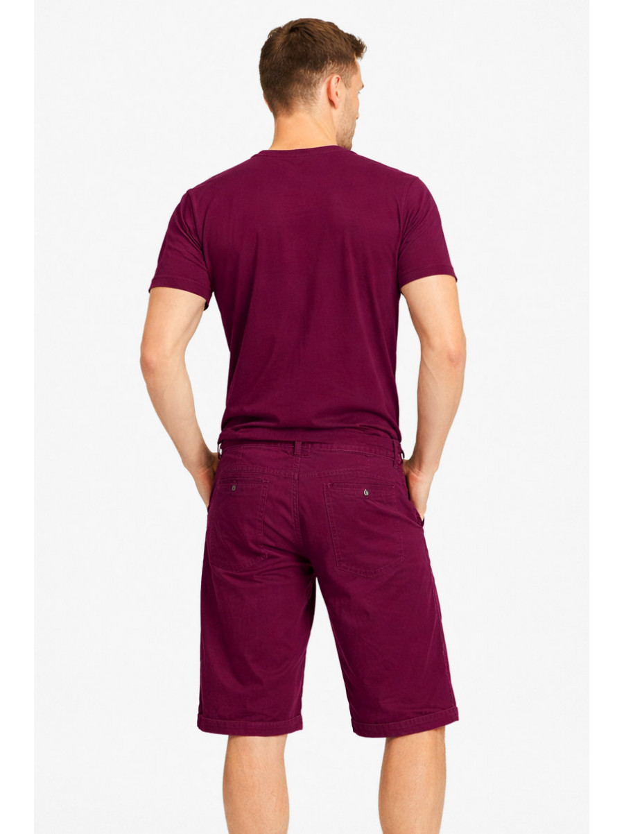 Бриджи мужские микровельветовые тёмно-фиолетового цвета LS14-0019X 212877C