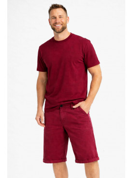 Бриджі чоловічі мікровельветові бордового кольору LS14-0017X 212881C