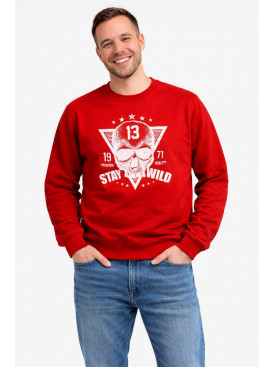 Світшот чоловічий червоного кольору з принтом 212944C