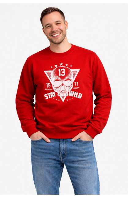 Свитшот мужской красного цвета с принтом 212944C