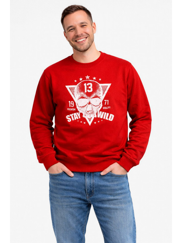 Світшот чоловічий червоного кольору з принтом 212944C