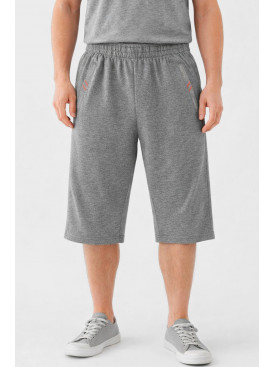 Бриджи мужские полубатальные серого цвета Y-6689 212993C