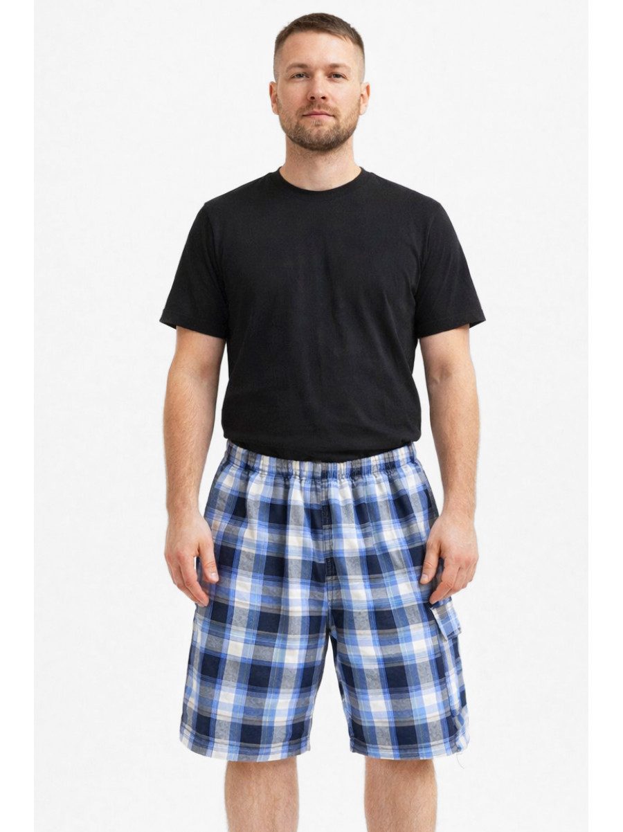 Шорты мужские синего цвета с принтом 213112C