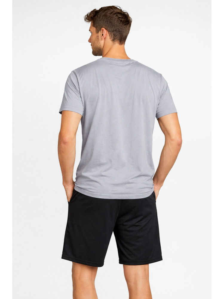 Костюм мужской шорты и футболка серого цвета 213256C