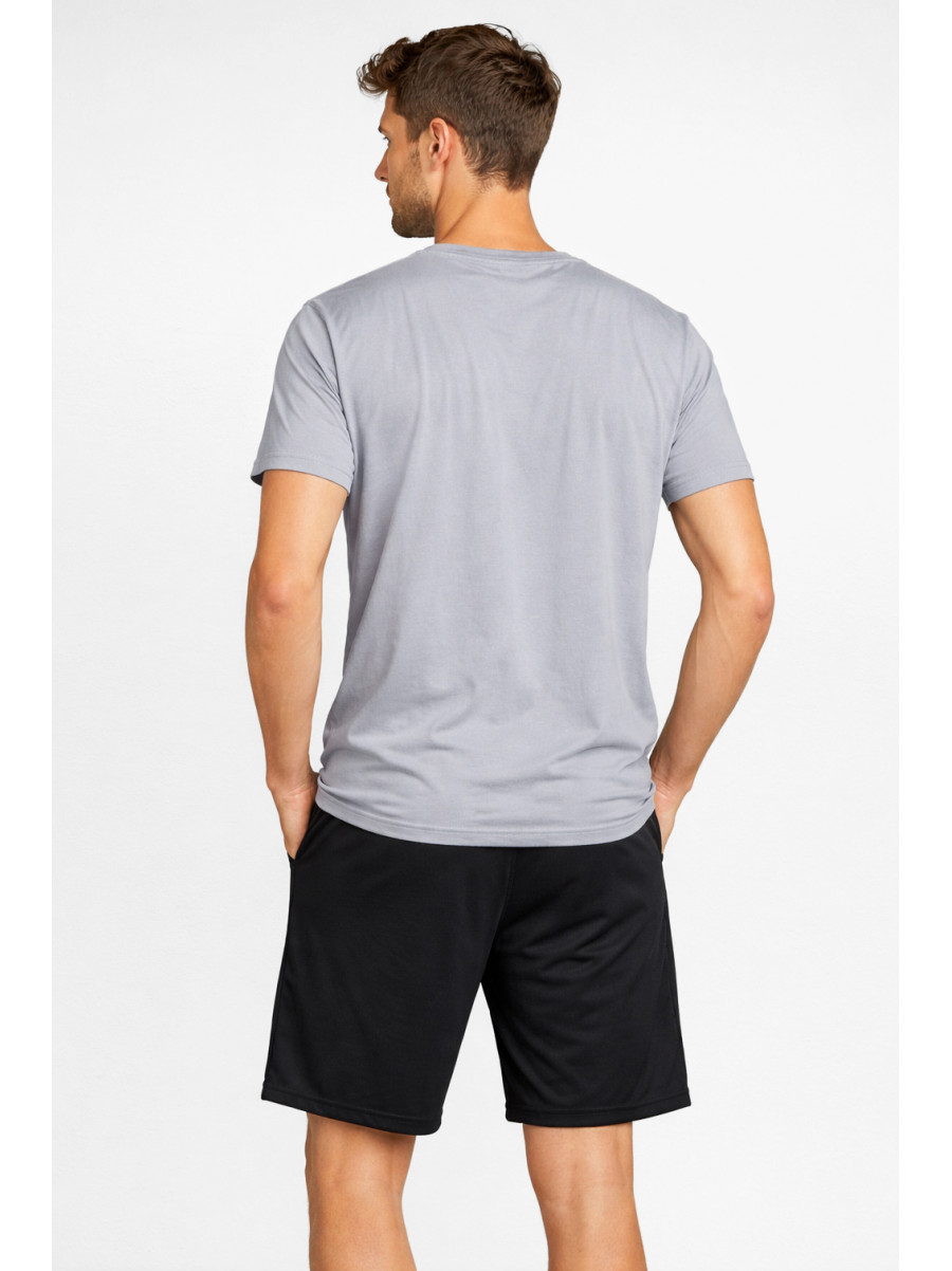 Костюм мужской шорты и футболка серого цвета 213256C