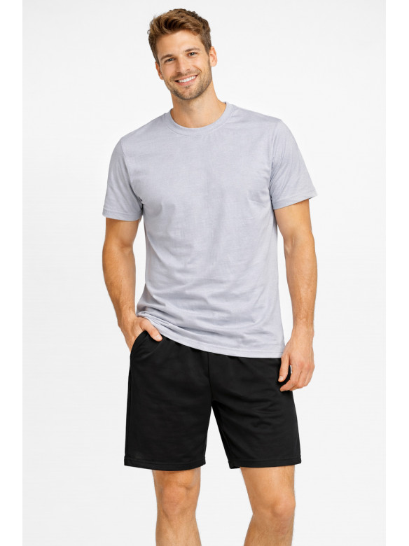 Костюм мужской шорты и футболка серого цвета 213258C