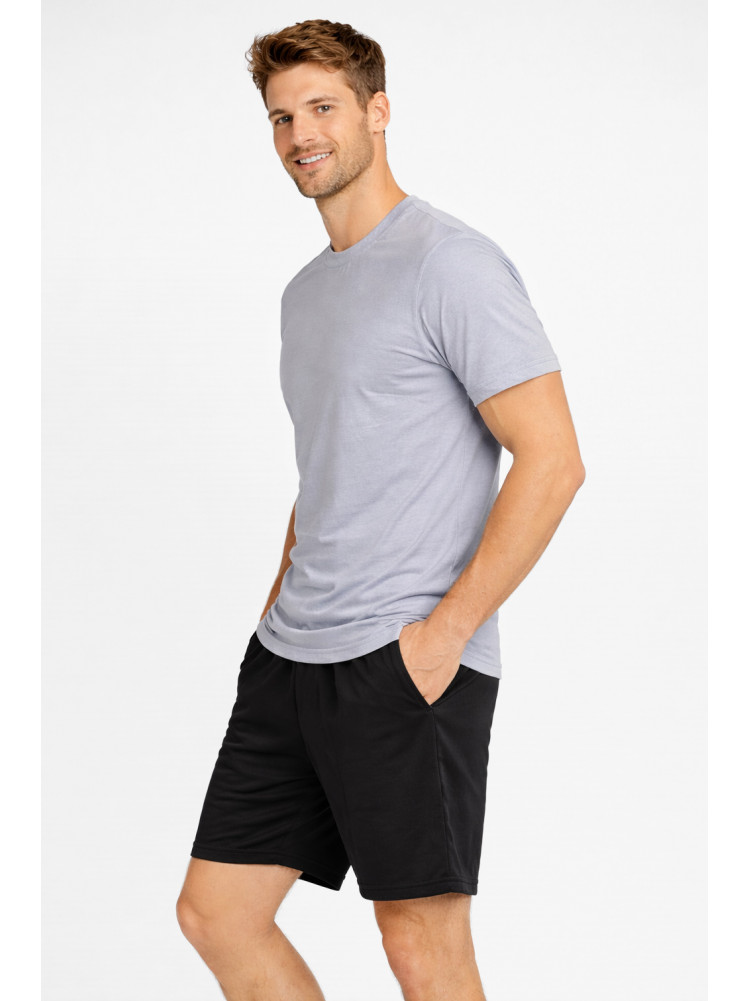 Костюм мужской шорты и футболка серого цвета 213258C