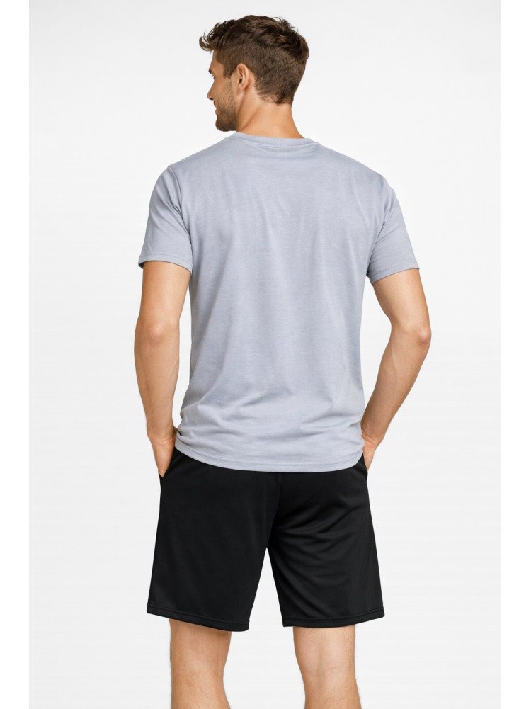 Костюм мужской шорты и футболка серого цвета 213258C