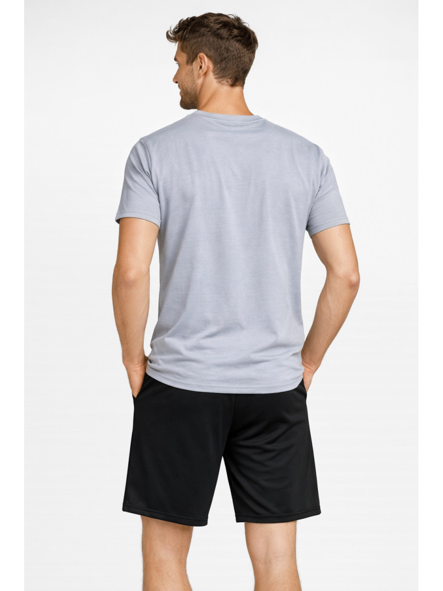 Костюм мужской шорты и футболка серого цвета 213258C