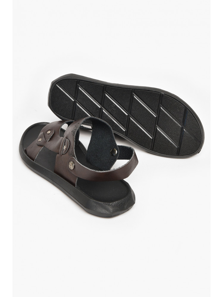 Сандалии мужские коричневого цвета 77С 213420C