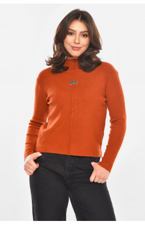 Кофта женская коричневого цвета с принтом 213811C